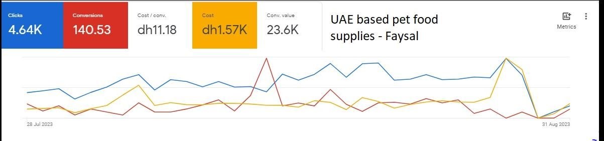 Real Google Ads campaign results